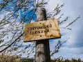 Drewniana tabliczka "Torfowisko Tarnawa" na drewnianym słupku, otoczona gałęziami. W tle błękitne niebo z chmurami. Bilety na zwiedzanie dostępne online.