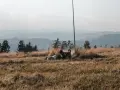 Góry z psem: gdzie wolno, a gdzie zakaz? Uniknij mandatu!