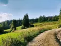 Stare wierchy z obidowej, zielone łąki i lasy, piaszczysta droga w słońcu.