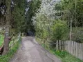 Droga leśna z zielonymi znakami szlaku turystycznego. Wiosenna zieleń i kwitnące drzewa towarzyszą ścieżce.