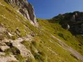 Kamienista ścieżka, czerwony szlak na Giewont, wije się po zboczu porośniętym trawą. W oddali widać turystów.
