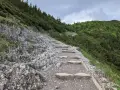 Kamieniste schody prowadzą w górę, przez zielone zbocza porośnięte kosodrzewiną. To szlak do Murowańca, gdzie czeka schronisko.