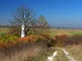 Kamienna figura Matki Boskiej na tle jesiennego krajobrazu Ponidzia. Droga wśród traw prowadzi do kapliczki.