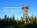 Wieża widokowa Borowa (853 m n.p.m.) w Górach Wałbrzyskich. Drewniana konstrukcja w otoczeniu lasu.