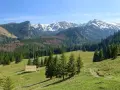 Widok na Tatry z zieloną halą, lasem i ośnieżonymi szczytami. Idealne miejsce na odkrywanie zakopane najpiękniejsze szlaki.