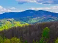 Widok na góry, gdzie **dwernik kamień czas przejścia** ukazuje się w zieleni wiosny i brązach jesieni.
