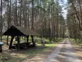 Droga przez lasy janowskie szlaki. Dziecko z rowerem przy wiacie odpoczynkowej.