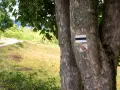 Czarny szlak w górach: Czy na pewno oznacza trudność? Obalamy mit!