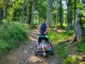 Ojciec pcha wózek z dzieckiem po leśnej ścieżce. W tle widać drzewa i zieleń.