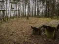 Kamienna ława i stoły w lesie, obok tablice informacyjne. Miejsce idealne na odpoczynek podczas wędrówki po górach obkaskich.