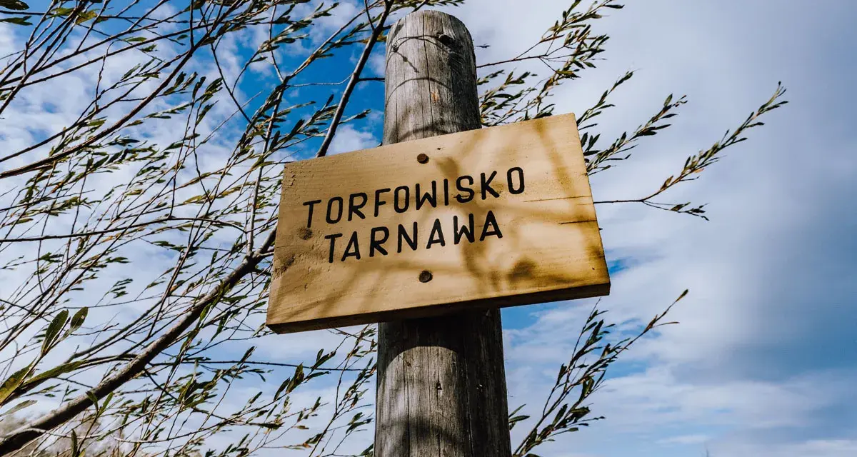 Drewniana tabliczka "Torfowisko Tarnawa" na drewnianym słupku, otoczona gałęziami. W tle błękitne niebo z chmurami. Bilety na zwiedzanie dostępne online.