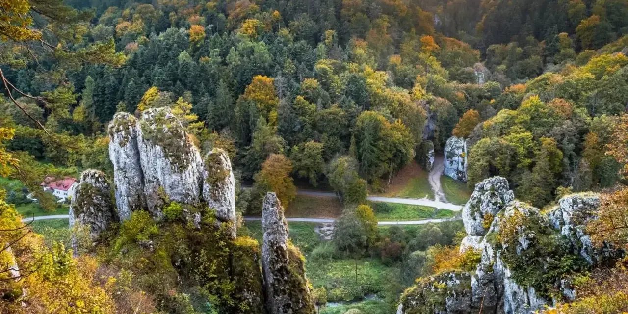 Ojcowski Park Narodowy zachwyca jesienią. Wapienne skały i kolorowy las tworzą malowniczy krajobraz.