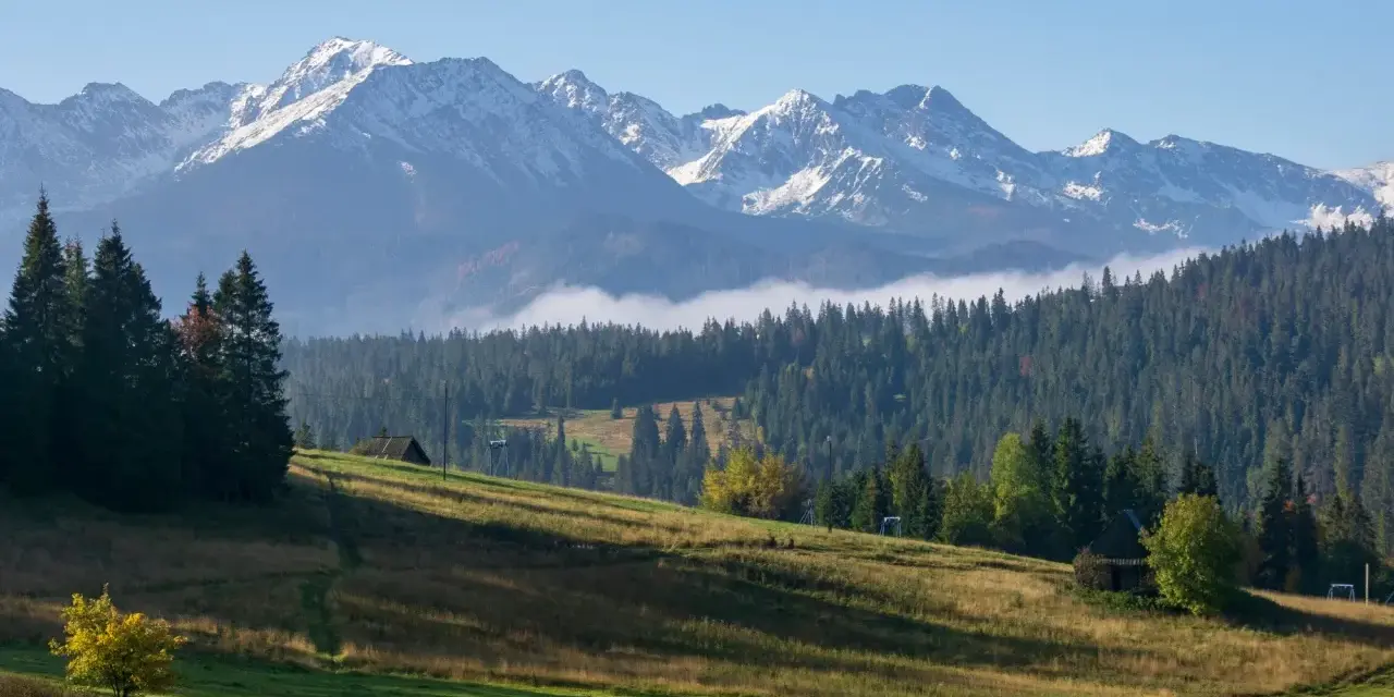 Widok z Gubałówki na Butorowy Wierch. Ośnieżone szczyty Tatr, lasy i zielone łąki.