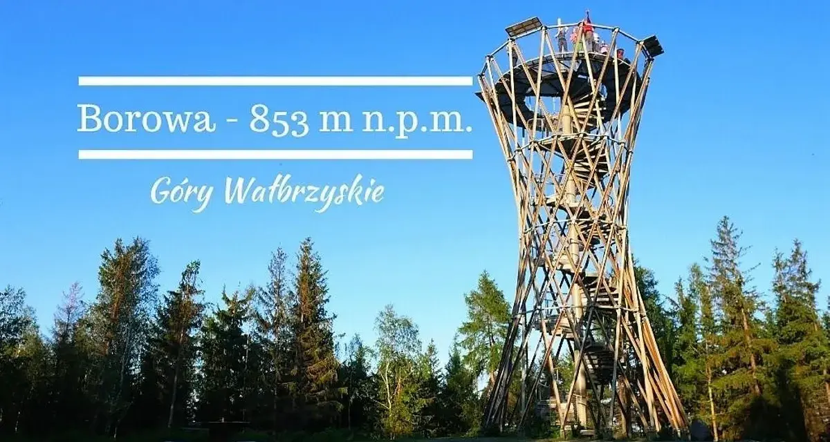 Wieża widokowa Borowa (853 m n.p.m.) w Górach Wałbrzyskich. Drewniana konstrukcja w otoczeniu lasu.