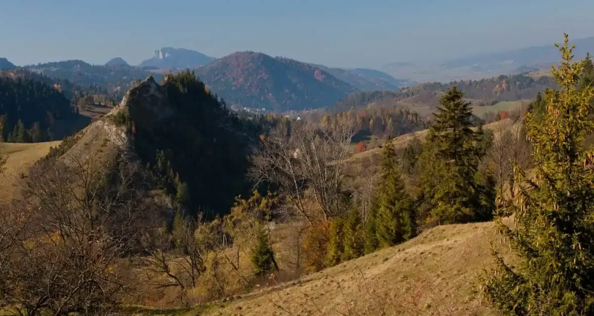 Malowniczy szlak na wysoką prowadzi przez jesienne wzgórza. W oddali widać pasmo górskie.
