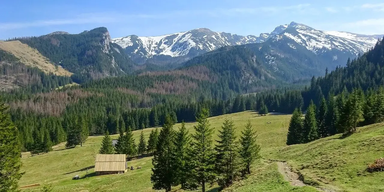 Widok na Tatry z zieloną halą, lasem i ośnieżonymi szczytami. Idealne miejsce na odkrywanie zakopane najpiękniejsze szlaki.