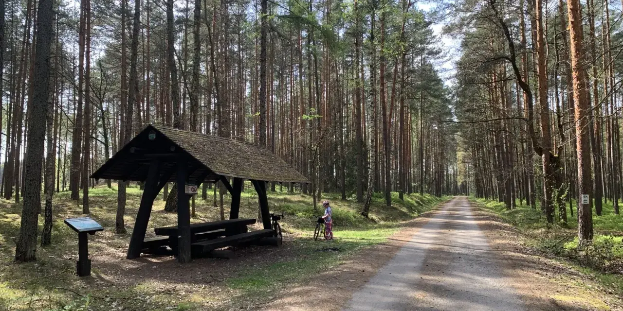 Droga przez lasy janowskie szlaki. Dziecko z rowerem przy wiacie odpoczynkowej.