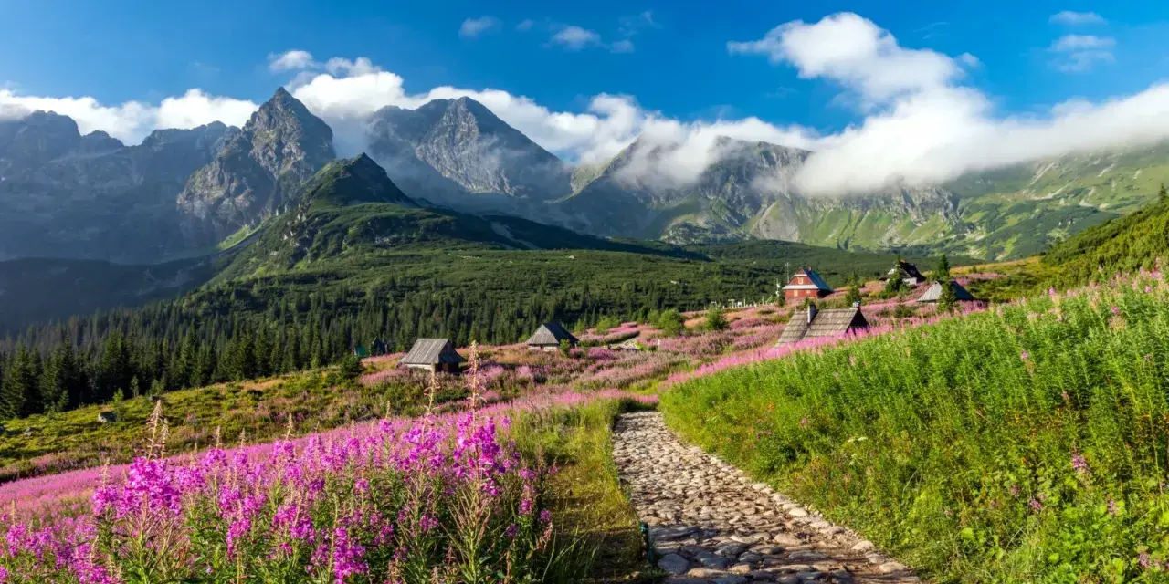 Kamienista ścieżka prowadzi przez kwiecistą łąkę ku chatkom na Hali Gąsienicowej. W tle majestatyczne Tatry.