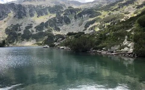 Spokojne jezioro odbija skaliste zbocza gór Pirin porośnięte kosodrzewiną.