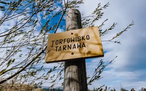 Drewniana tabliczka "Torfowisko Tarnawa" na drewnianym słupku, otoczona gałęziami. W tle błękitne niebo z chmurami. Bilety na zwiedzanie dostępne online.