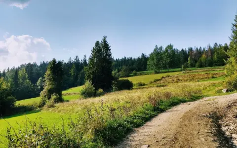 Stare wierchy z obidowej, zielone łąki i lasy, piaszczysta droga w słońcu.