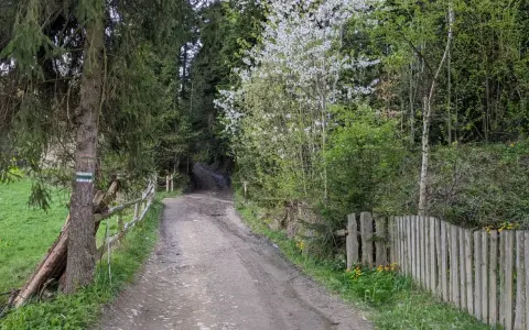 Droga leśna z zielonymi znakami szlaku turystycznego. Wiosenna zieleń i kwitnące drzewa towarzyszą ścieżce.