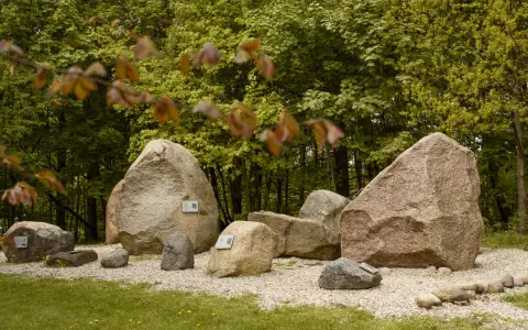 Kamienie polodowcowe na Dylewskiej Górze – naturalne atrakcje przyrodnicze.