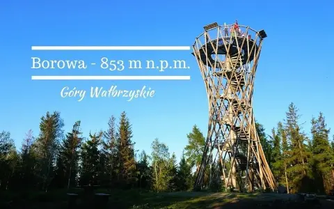 Wieża widokowa Borowa (853 m n.p.m.) w Górach Wałbrzyskich. Drewniana konstrukcja w otoczeniu lasu.