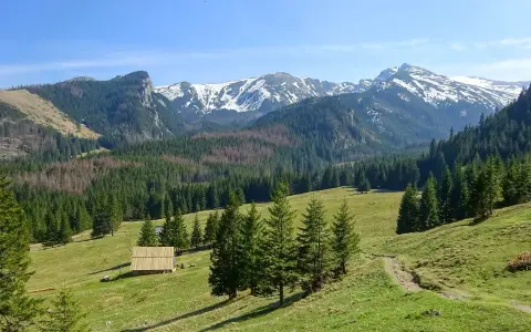 Widok na Tatry z zieloną halą, lasem i ośnieżonymi szczytami. Idealne miejsce na odkrywanie zakopane najpiękniejsze szlaki.