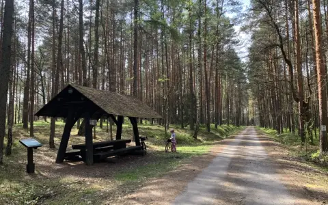 Droga przez lasy janowskie szlaki. Dziecko z rowerem przy wiacie odpoczynkowej.