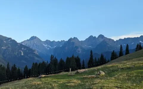 Widok na Tatry z zielonej łąki. Góry przypominają gęsią szyję, a ścieżka na zboczu sugeruje, ile schodów czeka na turystów.