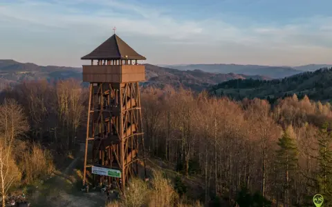 Drewniana wieża widokowa koziarz w otoczeniu jesiennego lasu, z widokiem na pagórkowaty krajobraz.