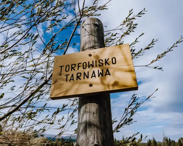 Drewniana tabliczka "Torfowisko Tarnawa" na drewnianym słupku, otoczona gałęziami. W tle błękitne niebo z chmurami. Bilety na zwiedzanie dostępne online.