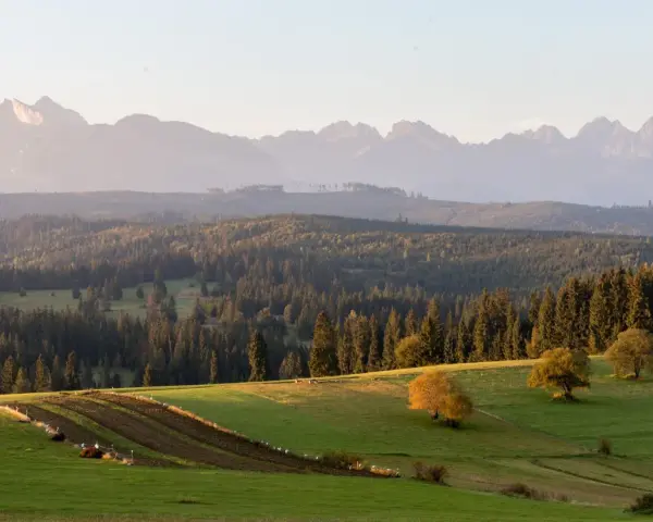 Olczański Wierch: Jak zdobyć najpiękniejsze widoki na Tatry?