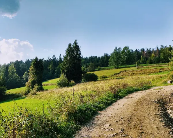 Stare wierchy z obidowej, zielone łąki i lasy, piaszczysta droga w słońcu.