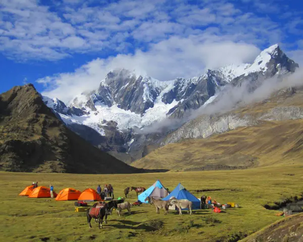 Obóz pod majestatyczną Cordillera Blanca. Namioty, ludzie i muły na zielonej łące, w tle ośnieżone szczyty.