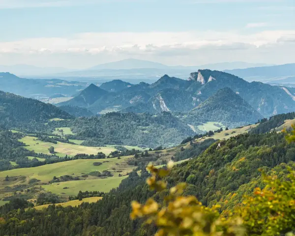 Widok na malownicze, zielone doliny i skaliste szczyty, tworzące wysoką koronę gór polski.