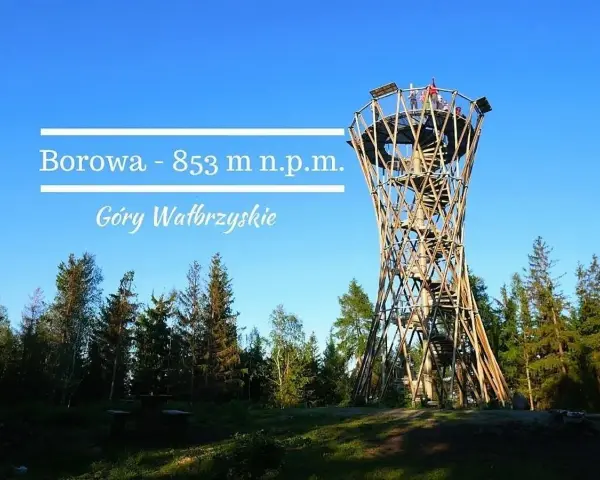 Wieża widokowa Borowa (853 m n.p.m.) w Górach Wałbrzyskich. Drewniana konstrukcja w otoczeniu lasu.