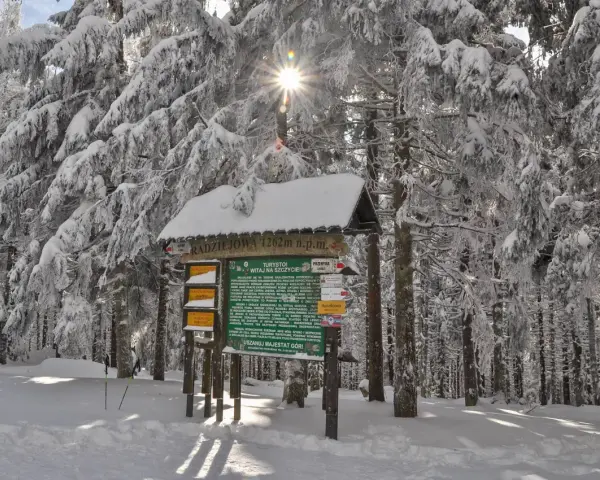 Gdzie w góry zimą? Przewodnik: Tatry, Beskidy, Bieszczady i bezpieczeństwo