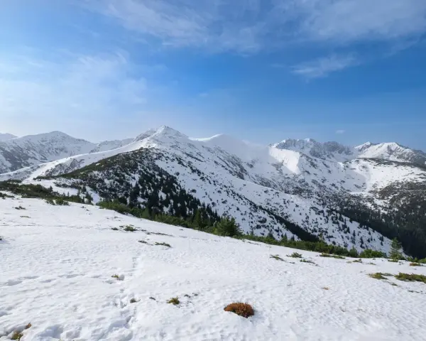 Śnieżny szlak na Grzesia w Tatrach. W oddali widać ośnieżone szczyty i ciemne pasma lasu.