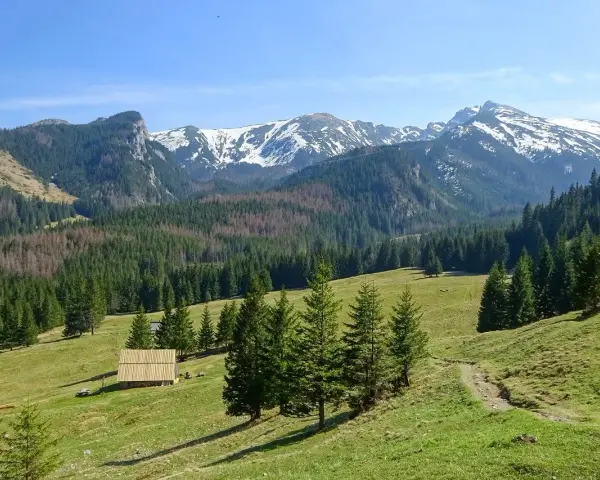 Widok na Tatry z zieloną halą, lasem i ośnieżonymi szczytami. Idealne miejsce na odkrywanie zakopane najpiękniejsze szlaki.