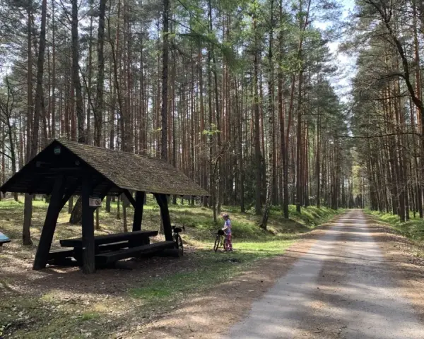 Droga przez lasy janowskie szlaki. Dziecko z rowerem przy wiacie odpoczynkowej.