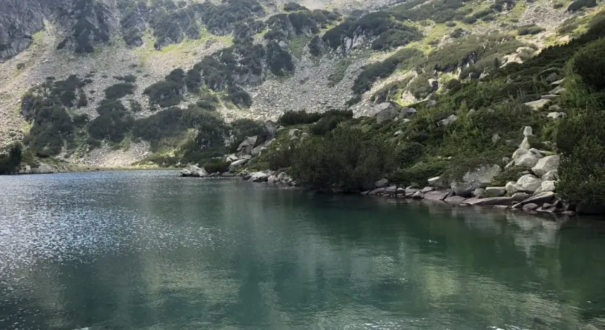 Spokojne jezioro odbija skaliste zbocza gór Pirin porośnięte kosodrzewiną.