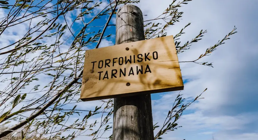 Drewniana tabliczka "Torfowisko Tarnawa" na drewnianym słupku, otoczona gałęziami. W tle błękitne niebo z chmurami. Bilety na zwiedzanie dostępne online.