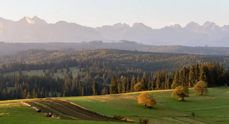 Olczański Wierch: Jak zdobyć najpiękniejsze widoki na Tatry?