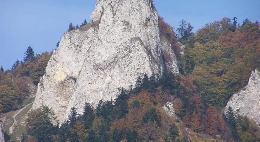 Trzy Korony, nazwy szczytów w Pieninach, majestatycznie wznoszą się na tle błękitnego nieba, otoczone jesienną paletą barw lasów.