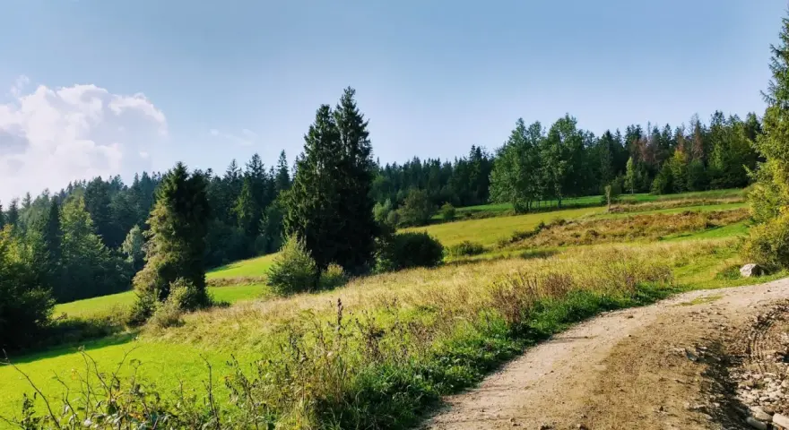 Stare wierchy z obidowej, zielone łąki i lasy, piaszczysta droga w słońcu.