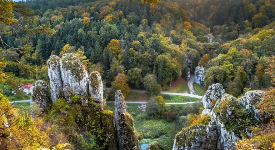 Ojcowski Park Narodowy zachwyca jesienią. Wapienne skały i kolorowy las tworzą malowniczy krajobraz.
