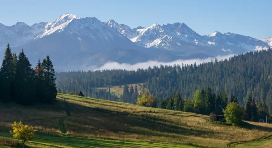 Widok z Gubałówki na Butorowy Wierch. Ośnieżone szczyty Tatr, lasy i zielone łąki.