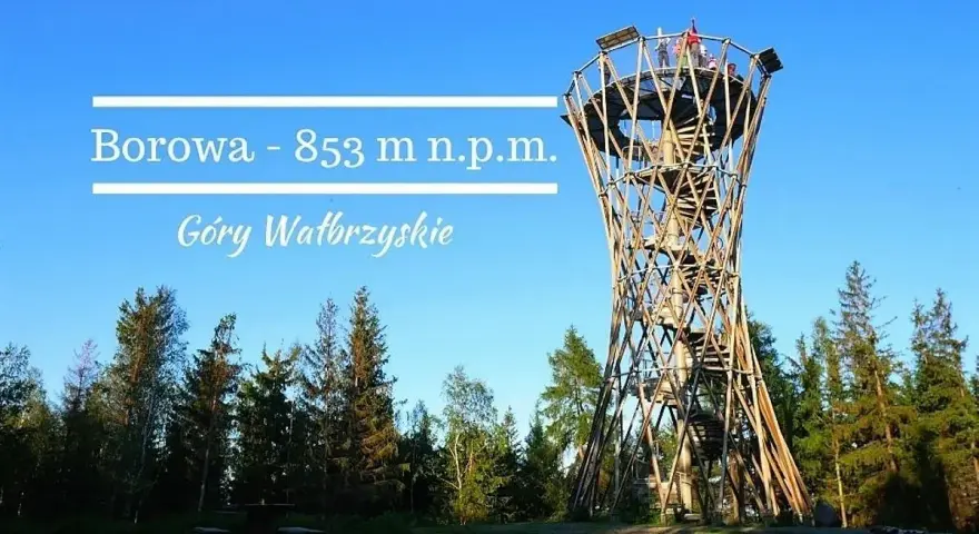 Wieża widokowa Borowa (853 m n.p.m.) w Górach Wałbrzyskich. Drewniana konstrukcja w otoczeniu lasu.